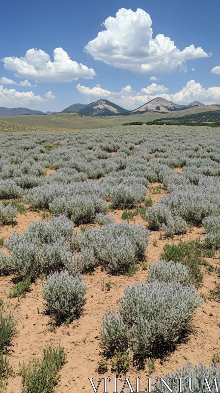 Lavender Rows and Mountain Landscape AI Image