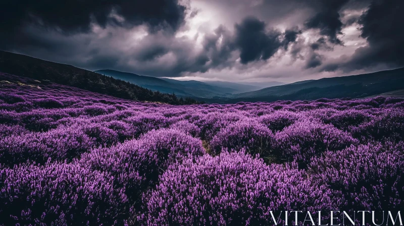 AI ART Purple Lavender Field in Moody Weather