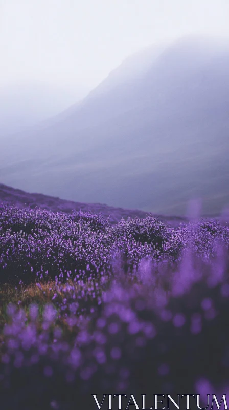 AI ART Serenity in Lavender Fields and Misty Mountains