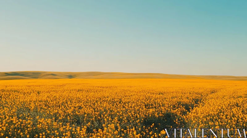 Serene Yellow Flower Field Landscape