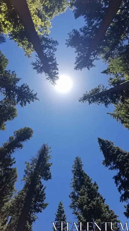 Sunlit Forest Canopy Against Blue Sky AI Image