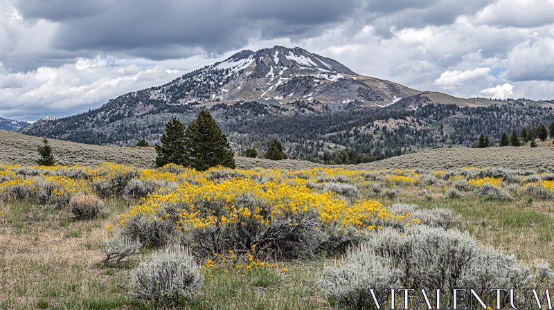 Mountain View with Snow and Yellow Wildflowers AI Image