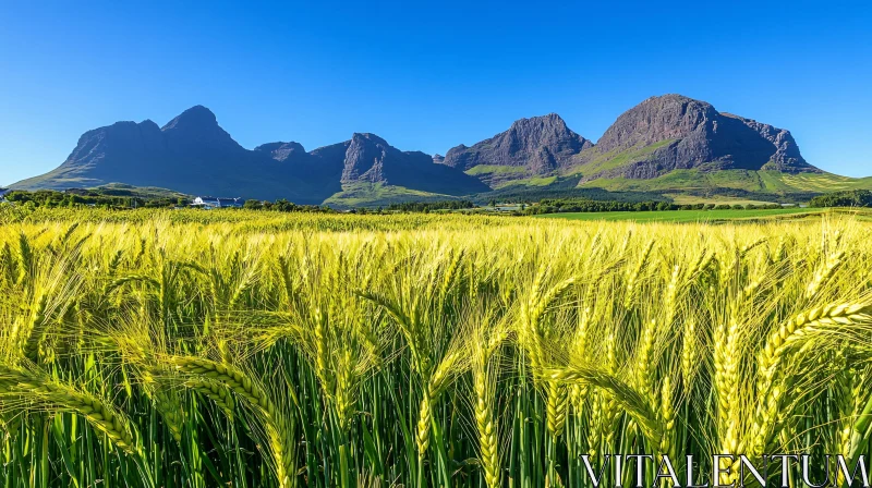 AI ART Countryside Landscape with Wheat Field and Mountains