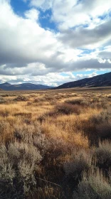 Peaceful Grassland under Cloudy Skies