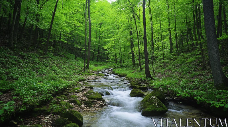 Serene Woodland with Flowing Stream AI Image