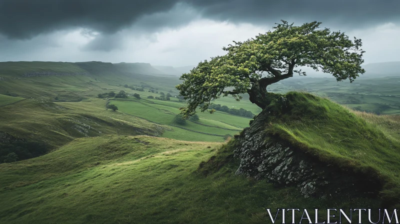 Serene Lone Tree on a Hill AI Image