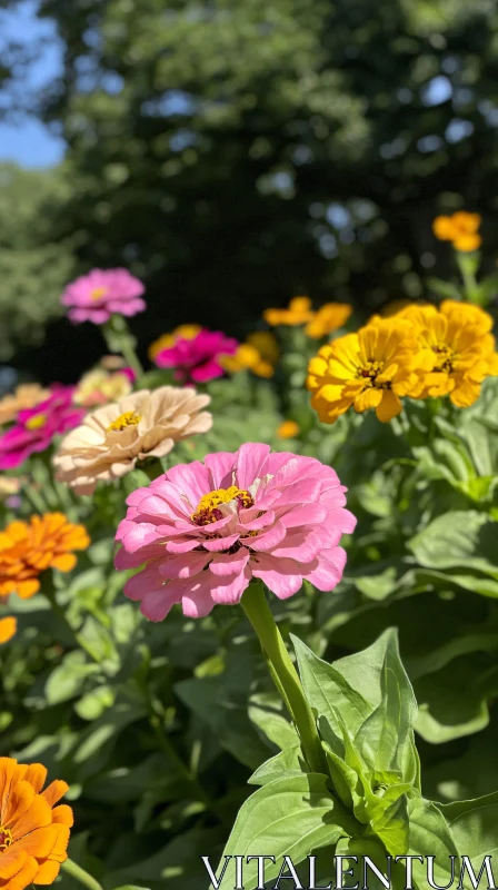 Garden with Blooming Flowers AI Image