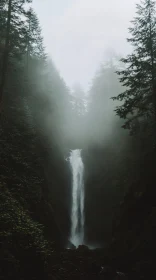 Misty Forest Waterfall