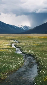 Peaceful Meadow Stream with Mountain View