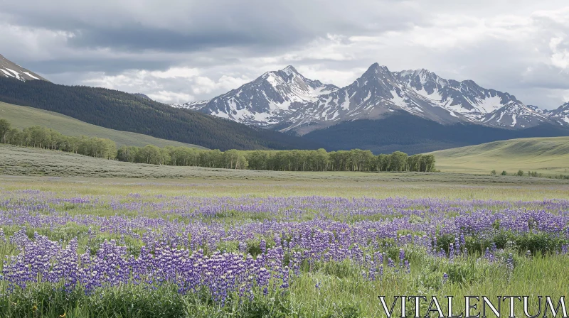 Scenic Mountain Meadow with Wildflowers