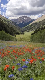 Beautiful Nature with Wildflower Meadow and Mountains