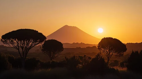 Mountain Sunset with Silhouetted Trees