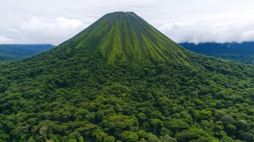 Towering Volcano Amidst Verdant Forest