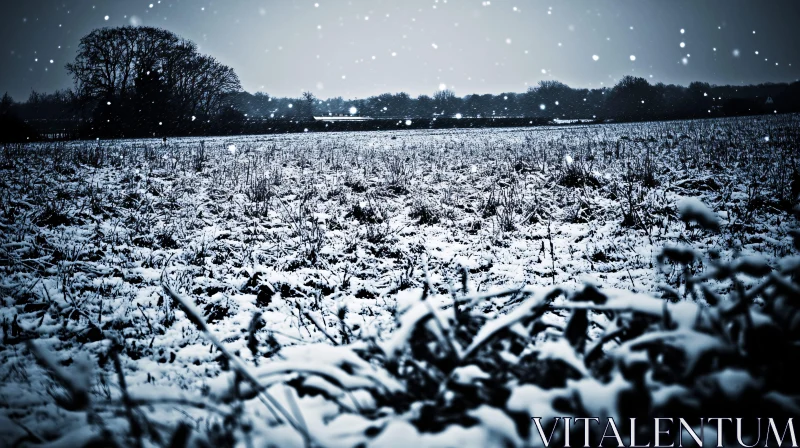 Tranquil Winter Scene in a Snow-covered Field AI Image