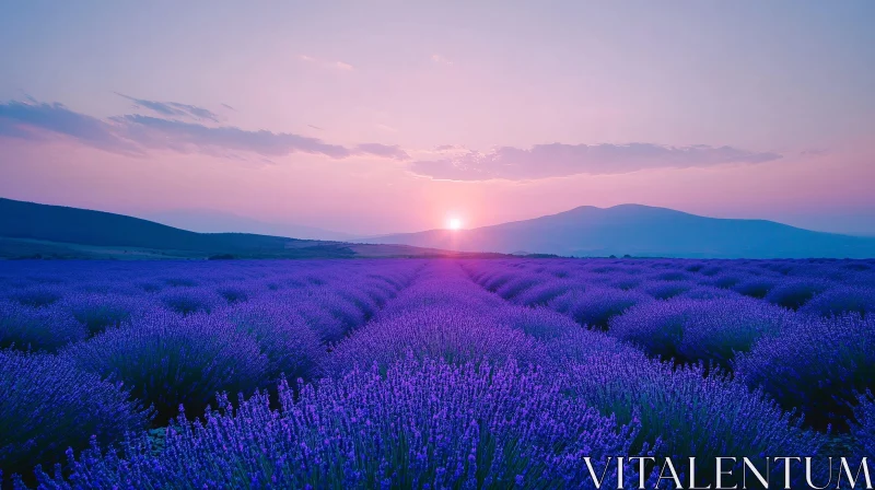 AI ART Tranquil Lavender Field with Setting Sun