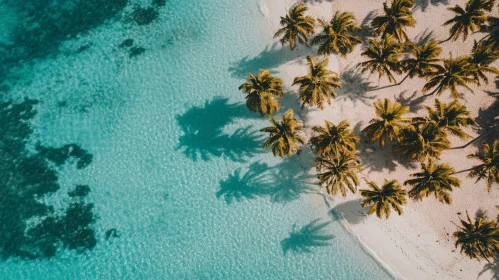 Tropical Paradise Island Aerial View