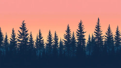 Pine Forest Silhouette During Sunset