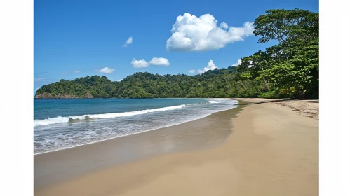 Serene Tropical Shoreline