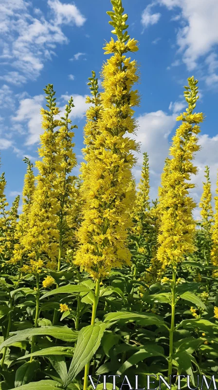 AI ART Sunlit Yellow Blossoms Reaching Skyward