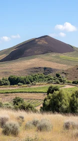 Peaceful Mountain Scene with Greenery