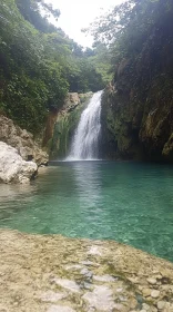 Peaceful Waterfall in Forest