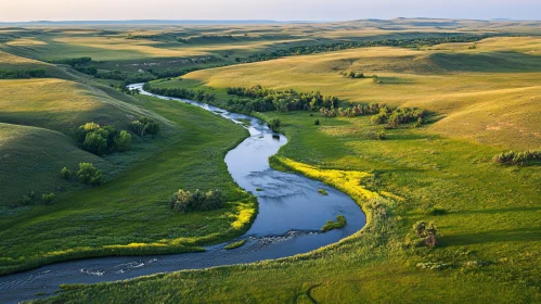 Serene River Landscape in Lush Greenery