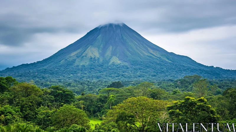 Mountain and Lush Forest Under Cloudy Sky AI Image