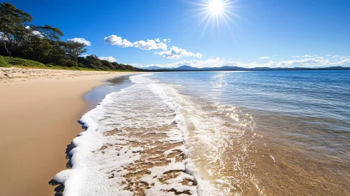 Calm Shoreline on a Sunny Day