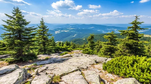 Picturesque Mountain View with Greenery