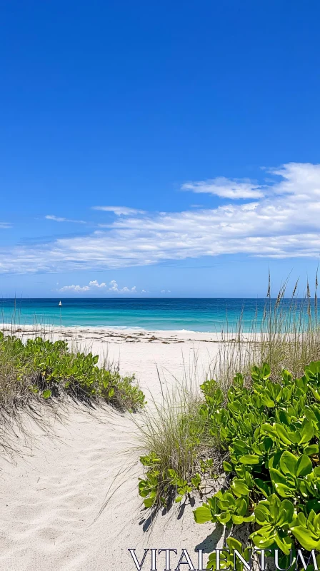 Idyllic Coastal Path to Tranquil Waters AI Image