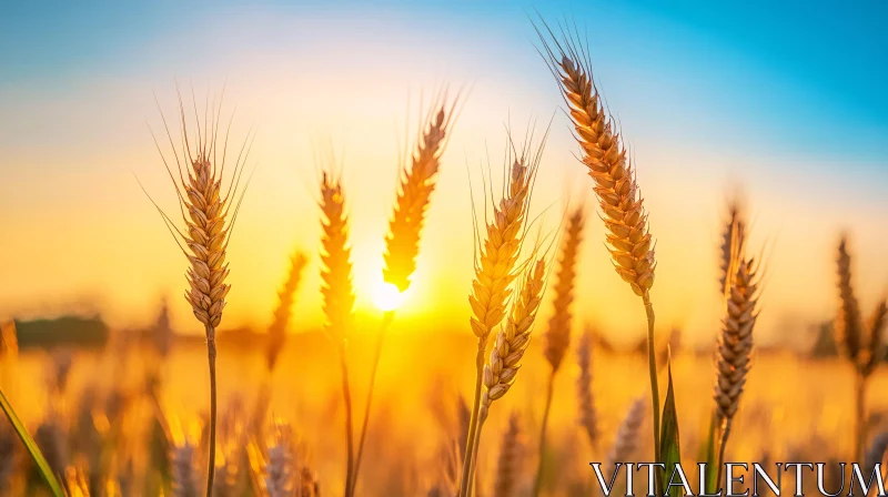 Sunset Over a Wheat Field AI Image