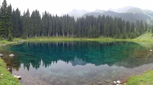 Tranquil Mirror-Like Alpine Lake and Forest