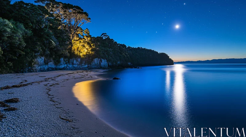 Tranquil Nighttime Beachscape with Celestial Reflections AI Image