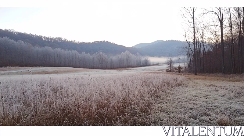 Frosty Morning in a Tranquil Field AI Image