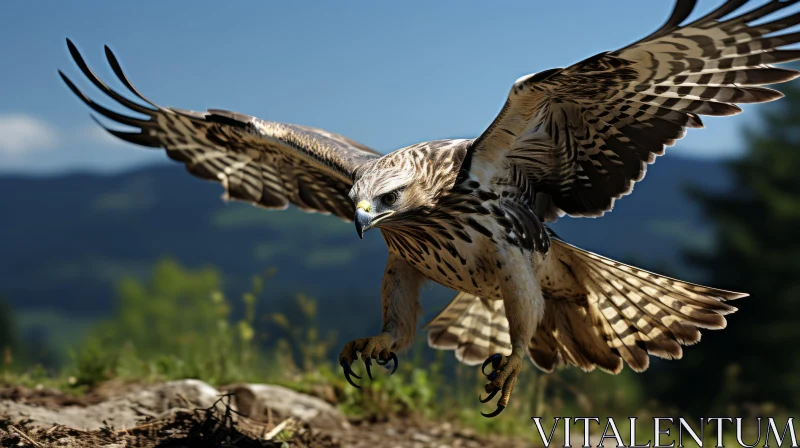 Wildlife In Flight: Hawk and Pelican Across a Rocky Landscape AI Image