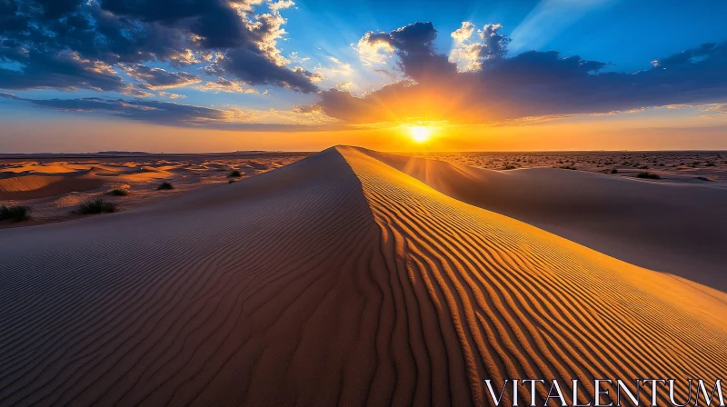 Golden Hour over Desert Sand Dunes