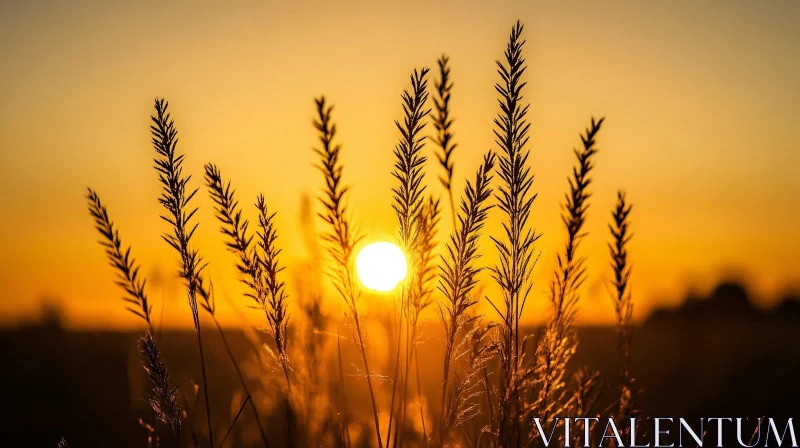 AI ART Golden Sunset with Grass Silhouettes