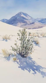 Snowy Desert Landscape with Distant Mountain