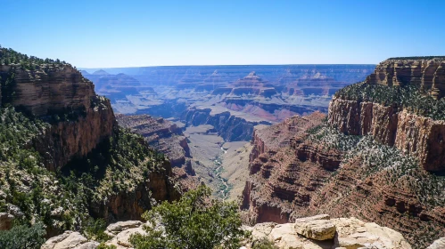 Grand Canyon View