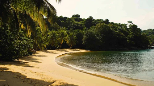 Tranquil Island Shoreline with Lush Greenery