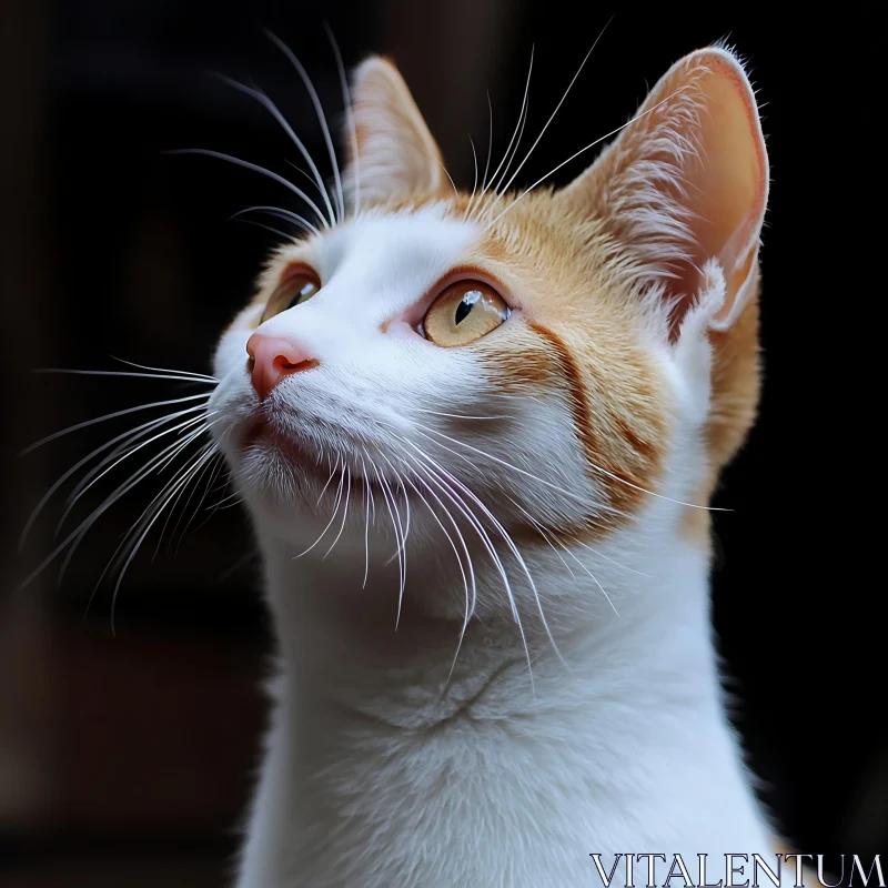 Cat Portrait with Golden Eyes and Whiskers AI Image