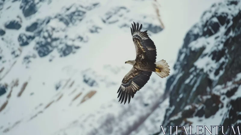 Breathtaking Bald Eagle in Flight | Majestic Nature Photography AI Image