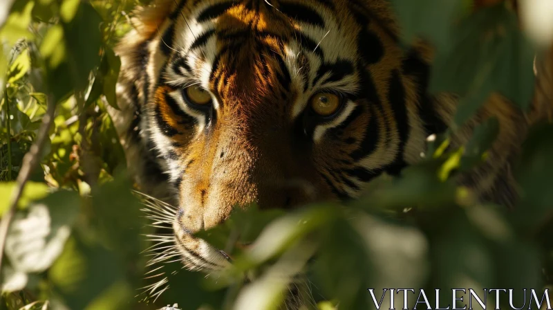 Closeup of a Majestic Tiger's Face | Golden Eyes | Orange Fur AI Image