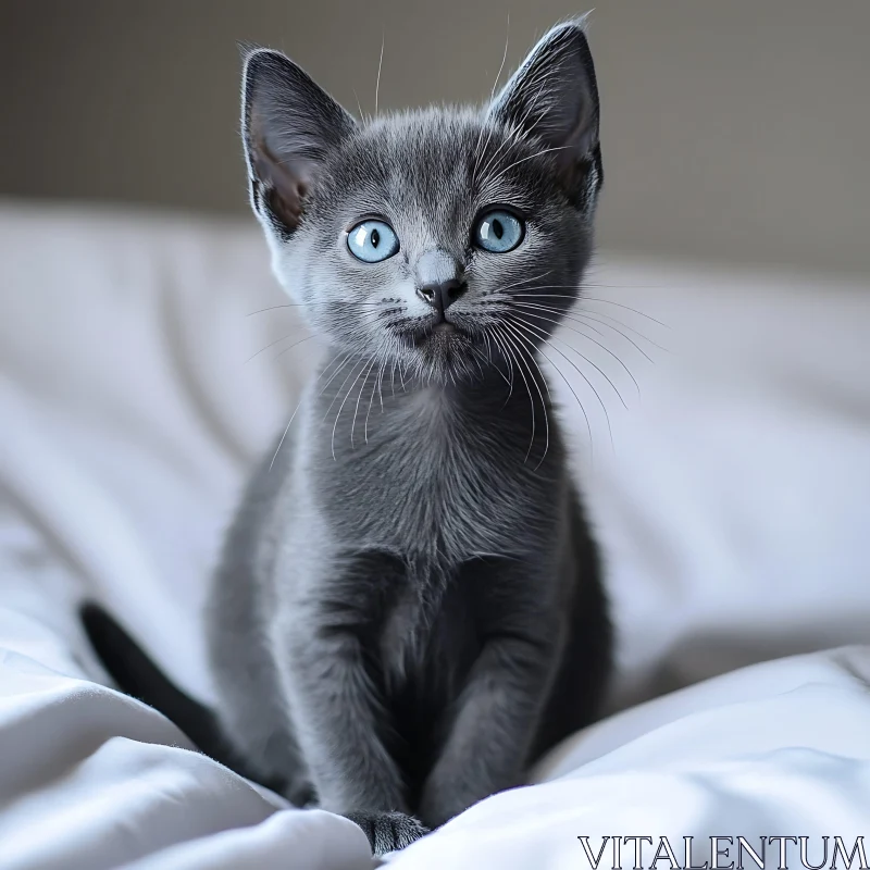 Cute Grey Kitten on a White Bed AI Image