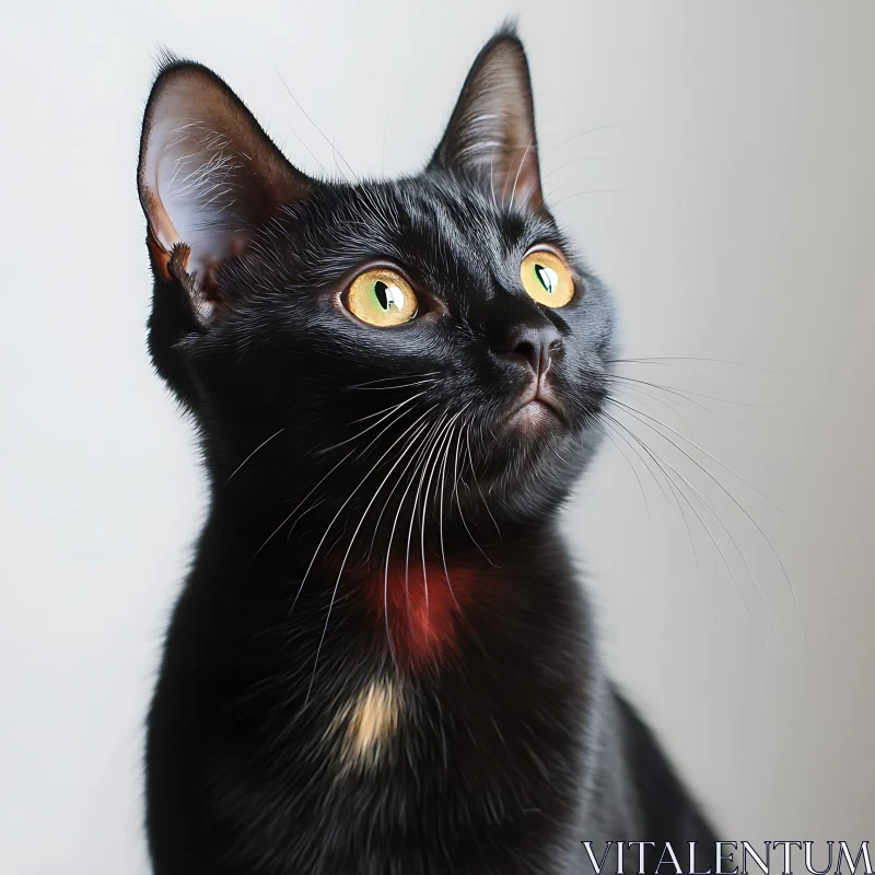 Portrait of a Black Cat with Intense Yellow Eyes AI Image