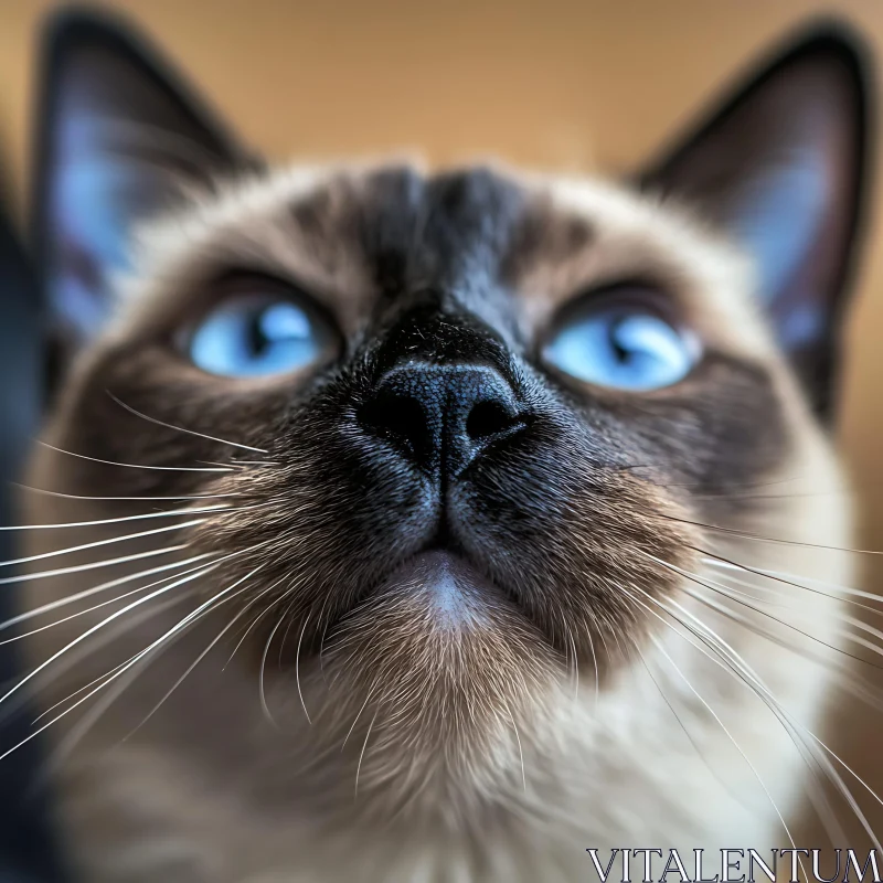 Cat with Piercing Blue Eyes Close-Up