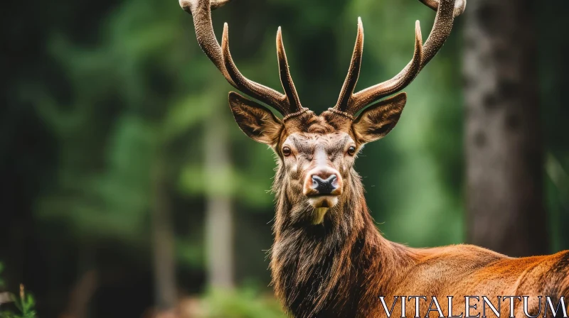 Captivating Portrait of a Red Deer Stag in a Forest AI Image