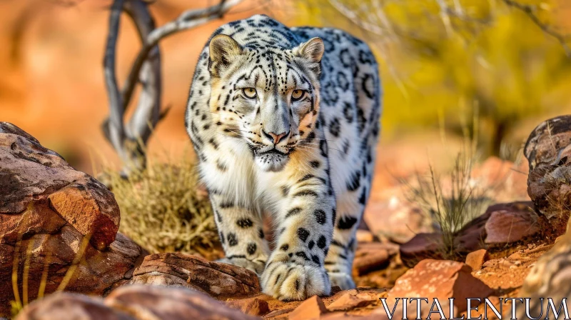 Grace and Power: Captivating Snow Leopard Photograph AI Image