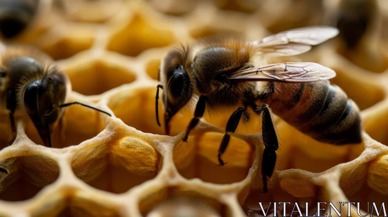 Bee on Honeycomb - Nature's Beauty Captured AI Image