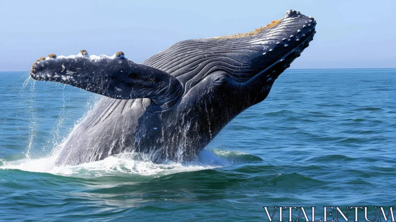 AI ART Majestic Humpback Whale Breaching the Ocean Surface